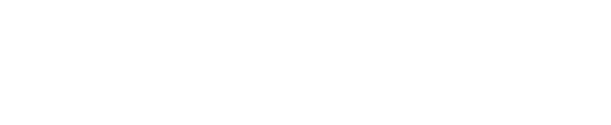 Dynamic Capital